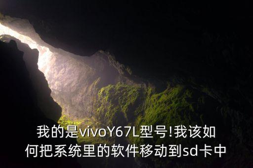 我的是vivoY67L型號(hào)!我該如何把系統(tǒng)里的軟件移動(dòng)到sd卡中