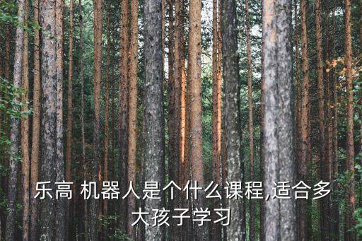  樂高 機(jī)器人是個(gè)什么課程,適合多大孩子學(xué)習(xí)
