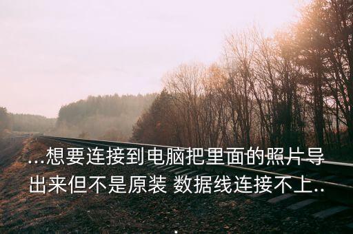 ...想要連接到電腦把里面的照片導(dǎo)出來但不是原裝 數(shù)據(jù)線連接不上...