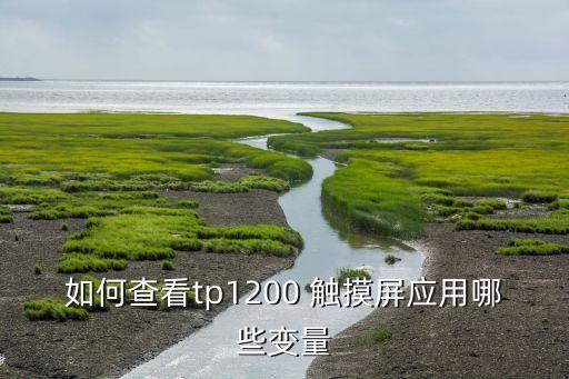 如何查看tp1200 觸摸屏應(yīng)用哪些變量