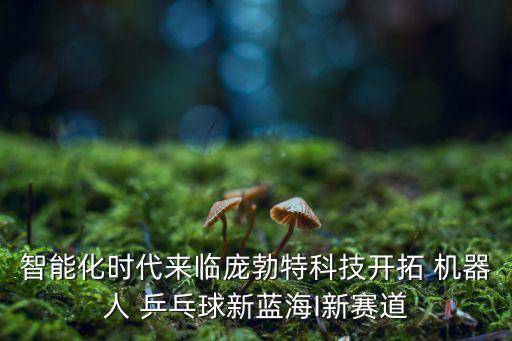 學(xué)生機(jī)器人乒乓球,歐姆龍乒乓球機(jī)器人