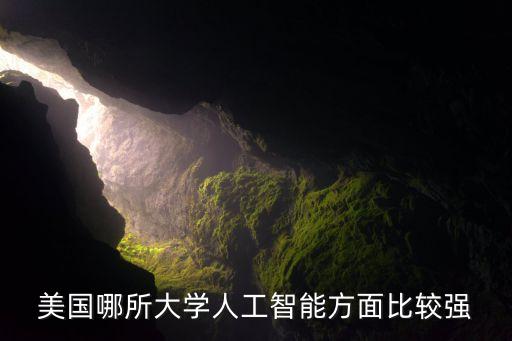 美國哪所大學人工智能方面比較強