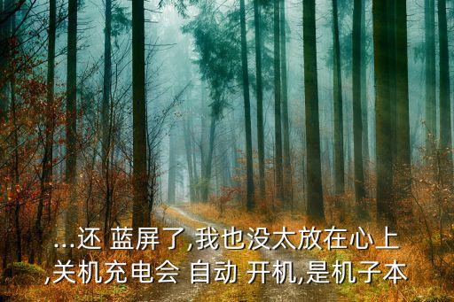 ...還 藍屏了,我也沒太放在心上,關(guān)機充電會 自動 開機,是機子本