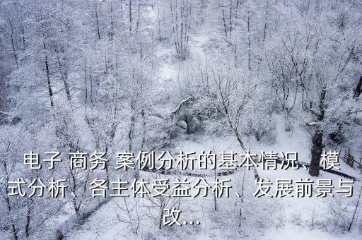 電子 商務(wù) 案例分析的基本情況、模式分析、各主體受益分析、發(fā)展前景與改...