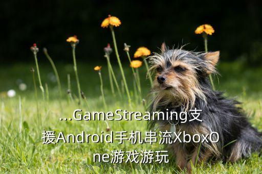 xbox one管理云端數(shù)據(jù),Xbox同步云端存檔數(shù)據(jù)