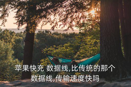 蘋果數(shù)據(jù)線有什么特點