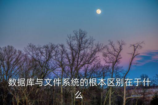 數(shù)據(jù)庫(kù)與數(shù)據(jù)庫(kù)系統(tǒng)的區(qū)別,access數(shù)據(jù)庫(kù)和sql數(shù)據(jù)庫(kù)區(qū)別