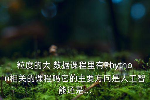 粒度的大 數(shù)據(jù)課程里有Phython相關的課程嗎它的主要方向是人工智能還是...