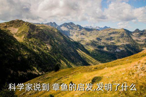 科學(xué)家說(shuō)到 章魚的啟發(fā),發(fā)明了什么
