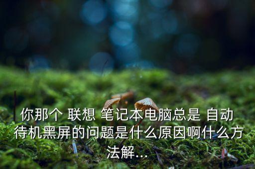 你那個 聯(lián)想 筆記本電腦總是 自動 待機黑屏的問題是什么原因啊什么方法解...