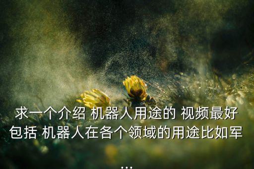 求一個介紹 機器人用途的 視頻最好包括 機器人在各個領域的用途比如軍...