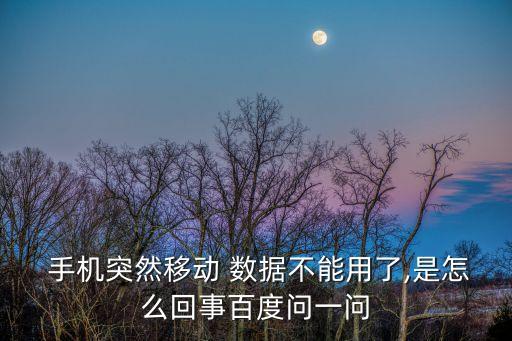  手機(jī)突然移動(dòng) 數(shù)據(jù)不能用了,是怎么回事百度問(wèn)一問(wèn)