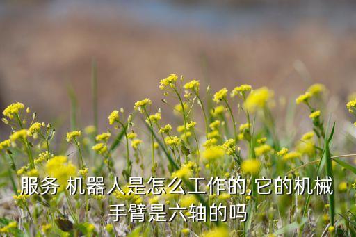 服務 機器人是怎么工作的,它的機械手臂是六軸的嗎