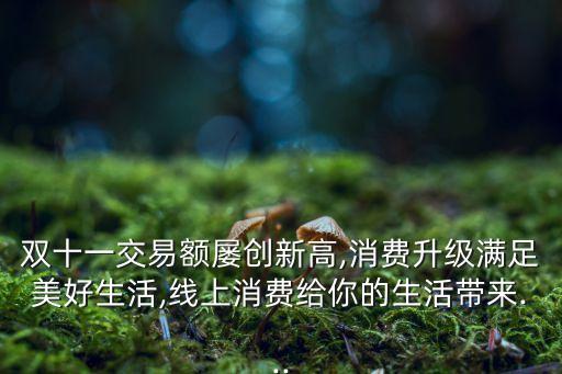 雙十一交易額屢創(chuàng)新高,消費(fèi)升級滿足美好生活,線上消費(fèi)給你的生活帶來...