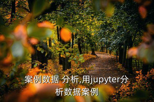 案例數(shù)據(jù) 分析,用jupyter分析數(shù)據(jù)案例