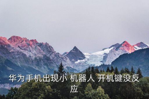 華為手機(jī)出現(xiàn)小 機(jī)器人 開(kāi)機(jī)鍵沒(méi)反應(yīng)