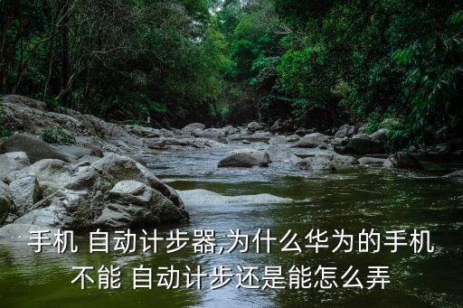 手機(jī) 自動計步器,為什么華為的手機(jī)不能 自動計步還是能怎么弄
