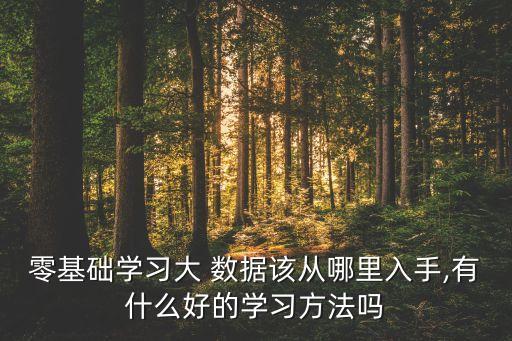 零基礎(chǔ)學(xué)習(xí)大 數(shù)據(jù)該從哪里入手,有什么好的學(xué)習(xí)方法嗎