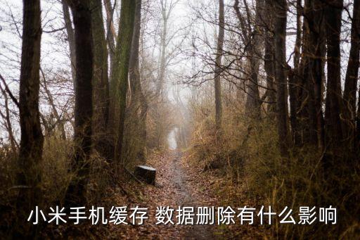 小米清楚數(shù)據(jù)會怎么樣,小米手機清除數(shù)據(jù)照片能找回嗎