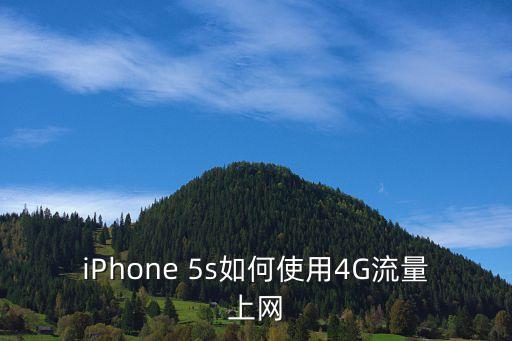 iPhone 5s如何使用4G流量上網(wǎng)