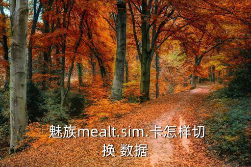  魅族mealt.sim.卡怎樣切換 數(shù)據(jù)