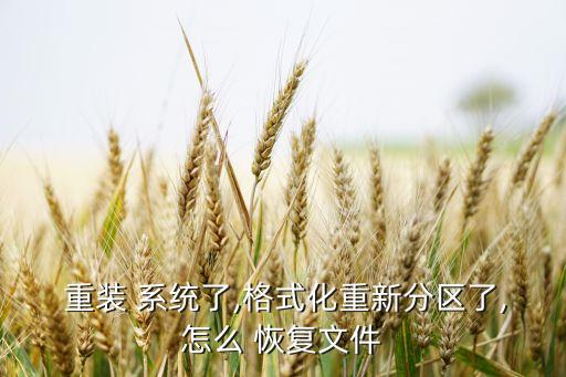 重裝系統(tǒng)數(shù)據(jù)恢復(fù),電腦重裝系統(tǒng)管家婆數(shù)據(jù)恢復(fù)