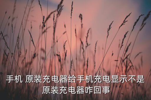 手機(jī) 原裝充電器給手機(jī)充電顯示不是 原裝充電器咋回事