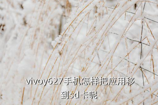  vivoy627手機(jī)怎樣把應(yīng)用移到sd卡呢