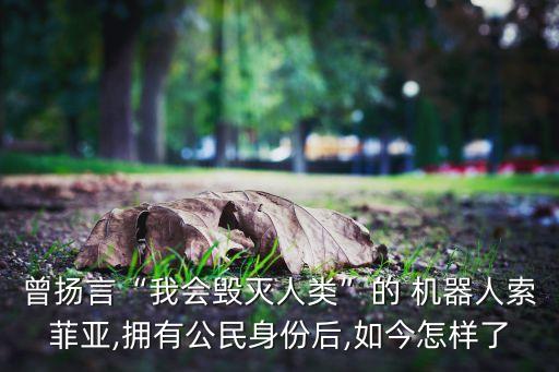 美國(guó)機(jī)器人逆天了,美國(guó)關(guān)于機(jī)器人的電影