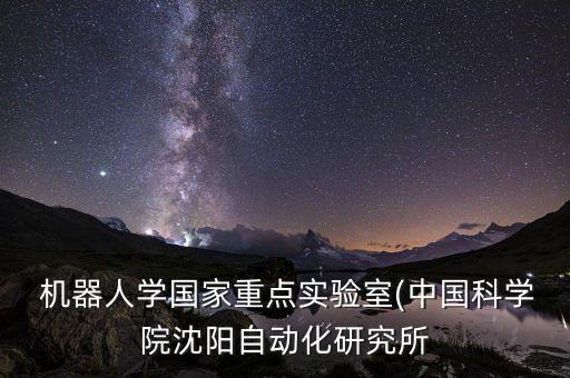 中科大機器人技術水平