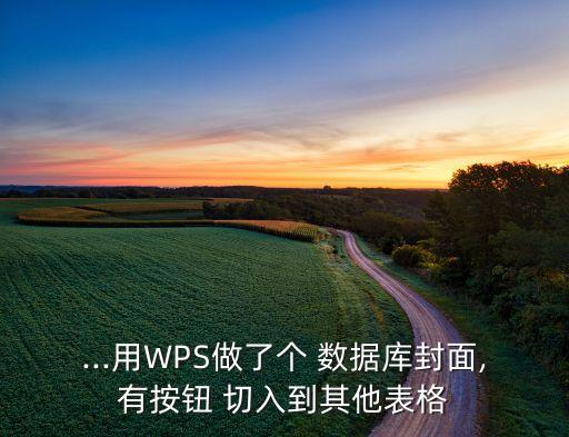 ...用WPS做了個 數(shù)據(jù)庫封面,有按鈕 切入到其他表格