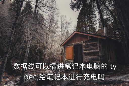  數(shù)據(jù)線可以插進筆記本電腦的 typec,給筆記本進行充電嗎