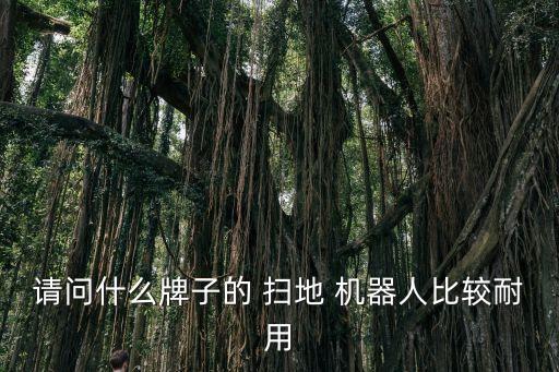 請問什么牌子的 掃地 機器人比較耐用
