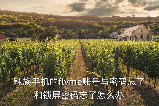 flyme6自動(dòng)填入驗(yàn)證碼