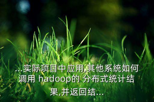 ...實際項目中應(yīng)用,其他系統(tǒng)如何調(diào)用 hadoop的 分布式統(tǒng)計結(jié)果,并返回結(jié)...