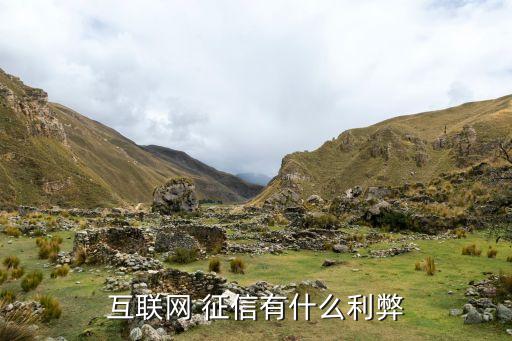 互聯(lián)網(wǎng) 征信有什么利弊