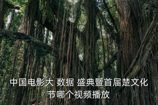2017大數據盛典,國際盛典2017