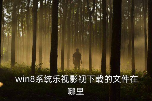 win8應(yīng)用數(shù)據(jù)在哪