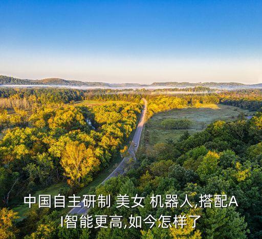 中國自主研制 美女 機器人,搭配AI智能更高,如今怎樣了