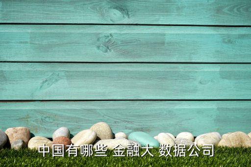 中國有哪些 金融大 數(shù)據(jù)公司
