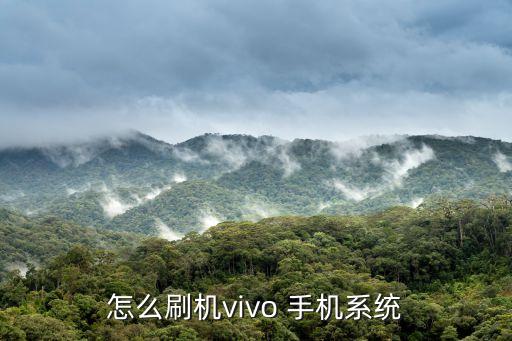 2013步步高手機(jī)銷售數(shù)據(jù),步步高超市銷售數(shù)據(jù)