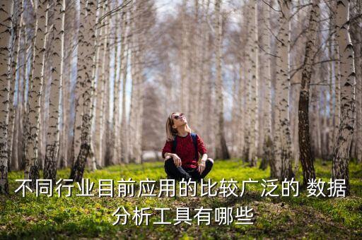 不同行業(yè)目前應(yīng)用的比較廣泛的 數(shù)據(jù) 分析工具有哪些