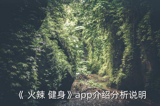 《 火辣 健身》app介紹分析說明