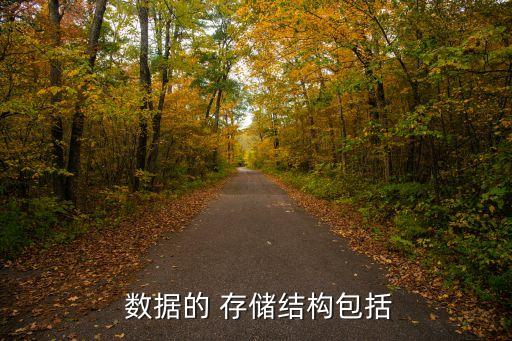  數(shù)據(jù)的 存儲(chǔ)結(jié)構(gòu)包括