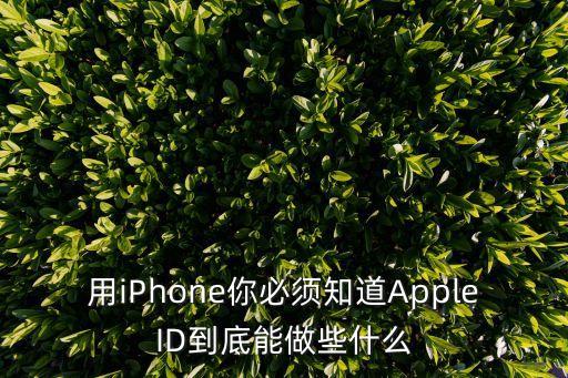 id如何做可變數(shù)據(jù),excel怎么做可變數(shù)據(jù)