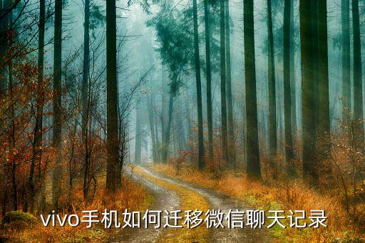 vivo互傳能傳微信數(shù)據(jù)嗎