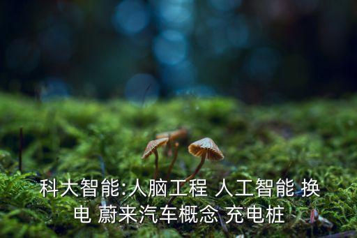  科大智能:人腦工程 人工智能 換電 蔚來汽車概念 充電樁