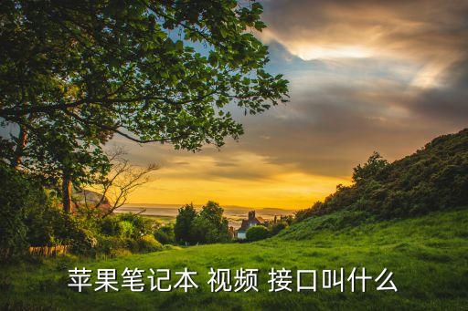 視頻數(shù)據(jù)接口,數(shù)據(jù)接口是什么意思