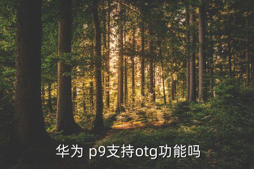  華為 p9支持otg功能嗎