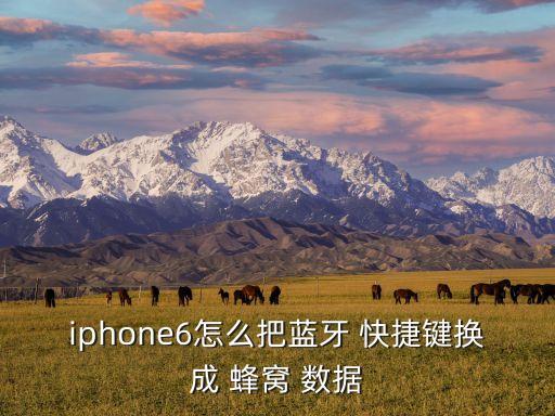 iphone6怎么把藍(lán)牙 快捷鍵換成 蜂窩 數(shù)據(jù)